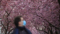 Un hombre con mascarilla camina bajo unos cerezos en flor en Bonn (Alemania), el 15 de abril de 2021. Wolfgang Rattay / Reuters