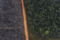 Una zona quemadas tras ser deforestada en Rondônia, Brasil. Victor R. Caivano / AP