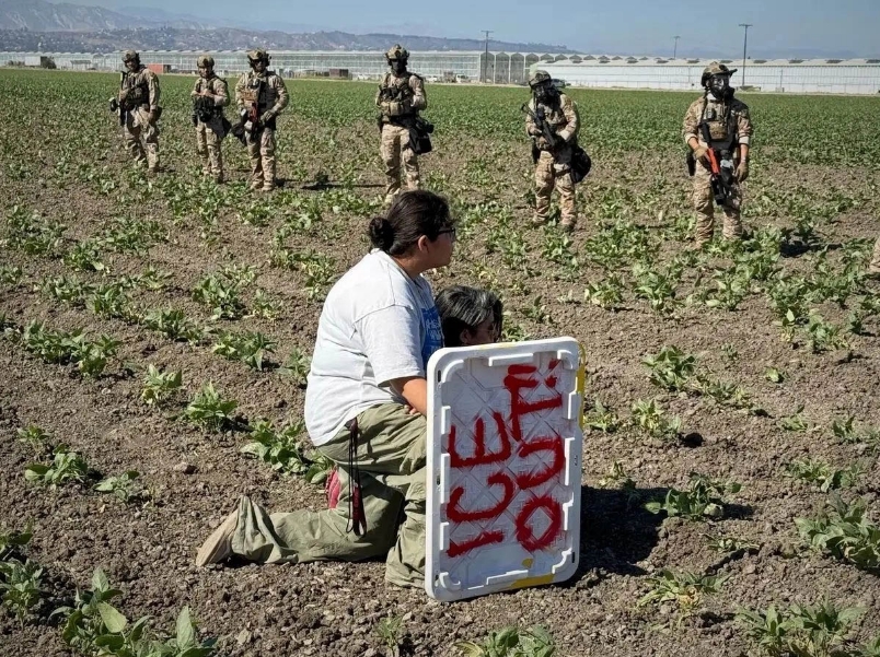 Operativo del ICE contra trabajadores migrantes en la agricultura en California, EEUU, en junio de 2025. Foto: AP