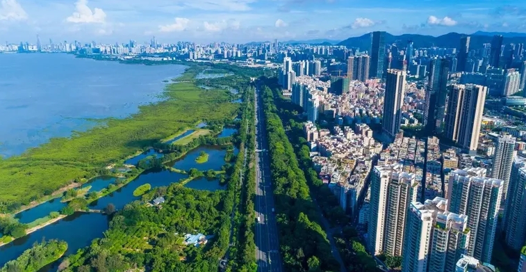 Humedales de manglares de Futian, Shenzhen, Guangdong, China. FOTOGRAFÍA DE JIAYI WEN CC BY-NC 4.0